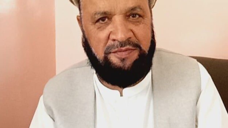 په معاصر سياسي نهضت باندې د ويښ ځلميانو د کړنو اغېز