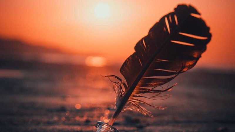 د انسان په ژوند کي هدف ټاکل اساس اصل دی