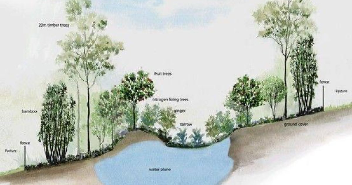 سالنګ سیند څخه کابل د اوبو د لېږد پروژه