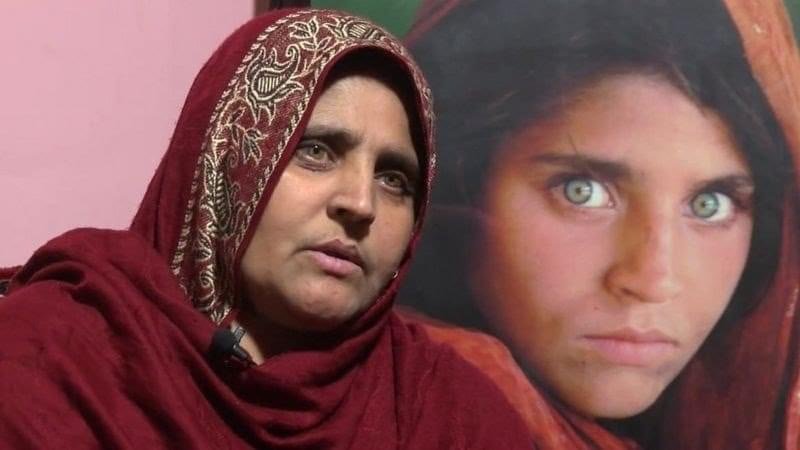 شربت ګلۍ د ژوند کیسه