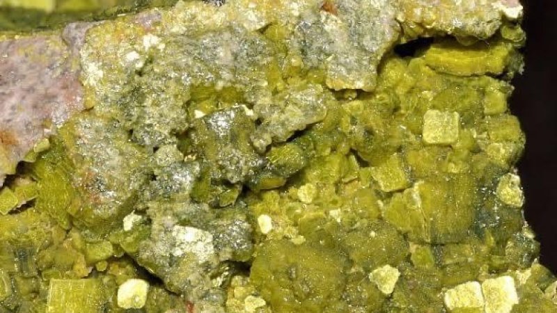 راځئ له یوارنیمو مو خبر کړم