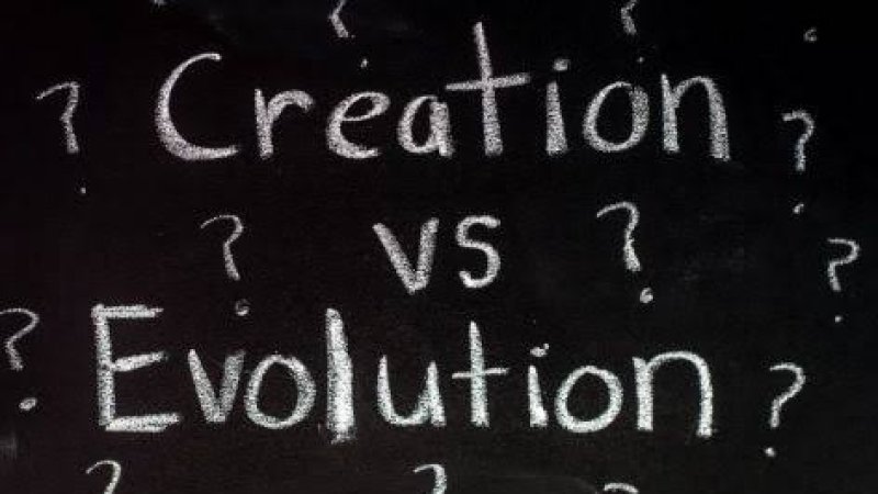 ادم، حوا او ارتقا