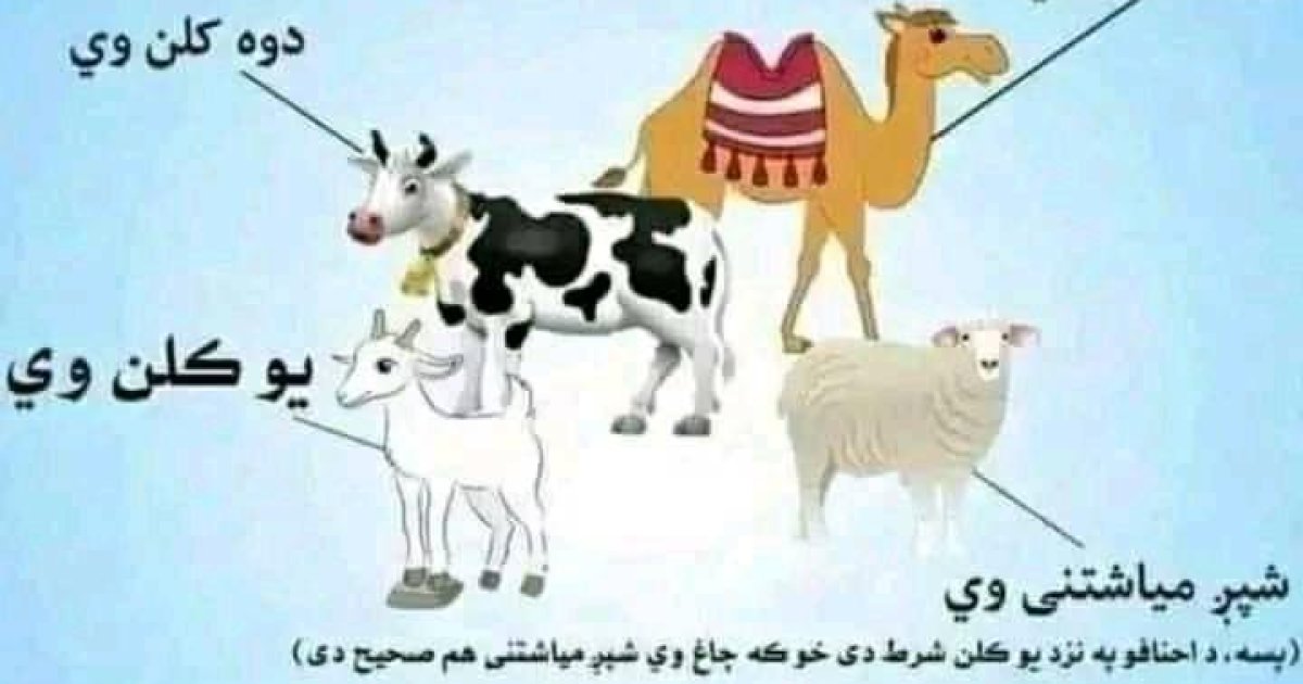 لوي اختر د قربانۍ مسائل او فضايل