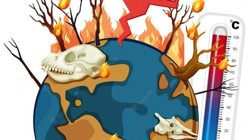 Essay on Global Warming