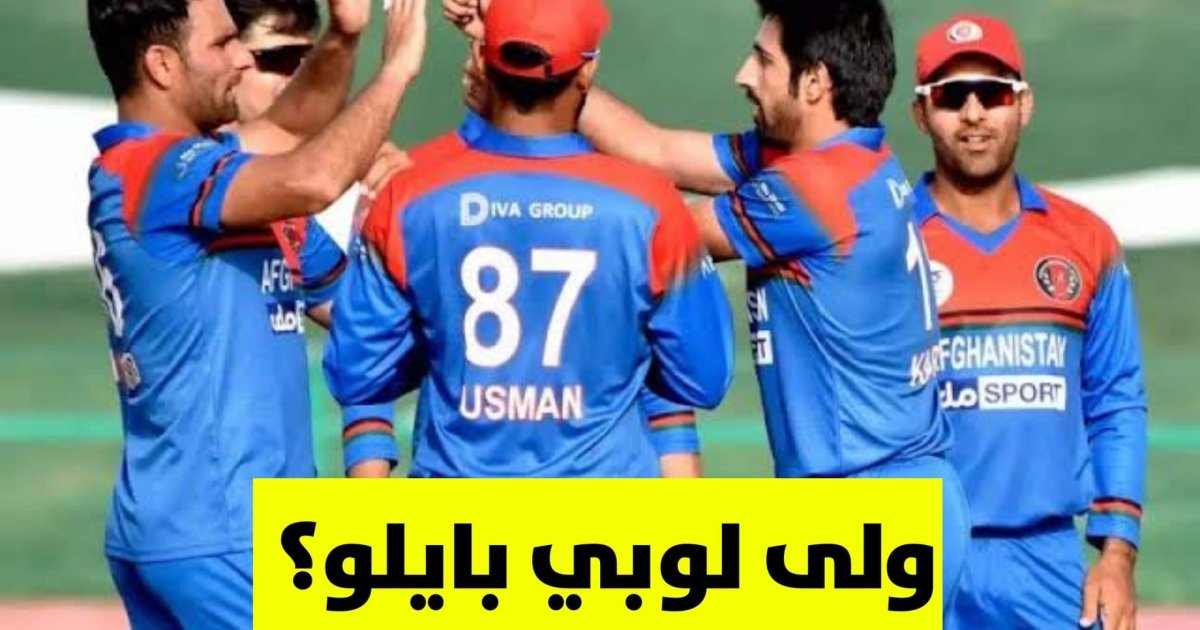 ولی لوبی بایلو؟