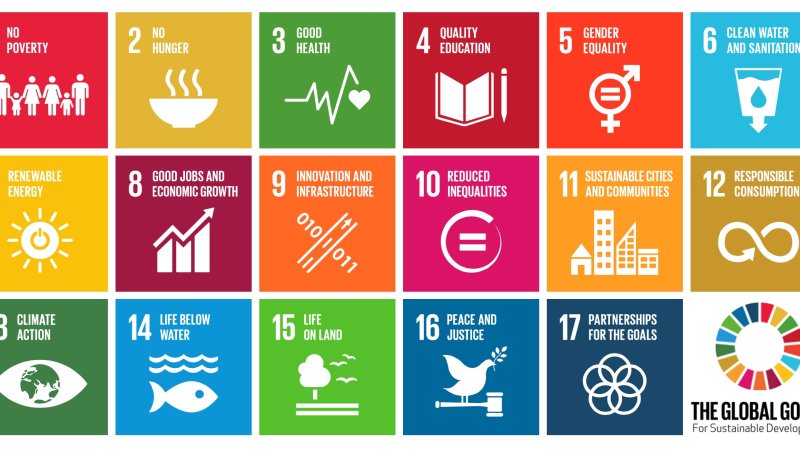 د 2030 کال لپاره 17 دوامداره پرمختیا اهداف (SDGs)