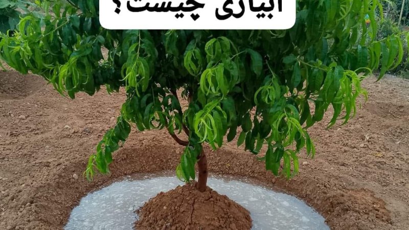 آبیاری چیست