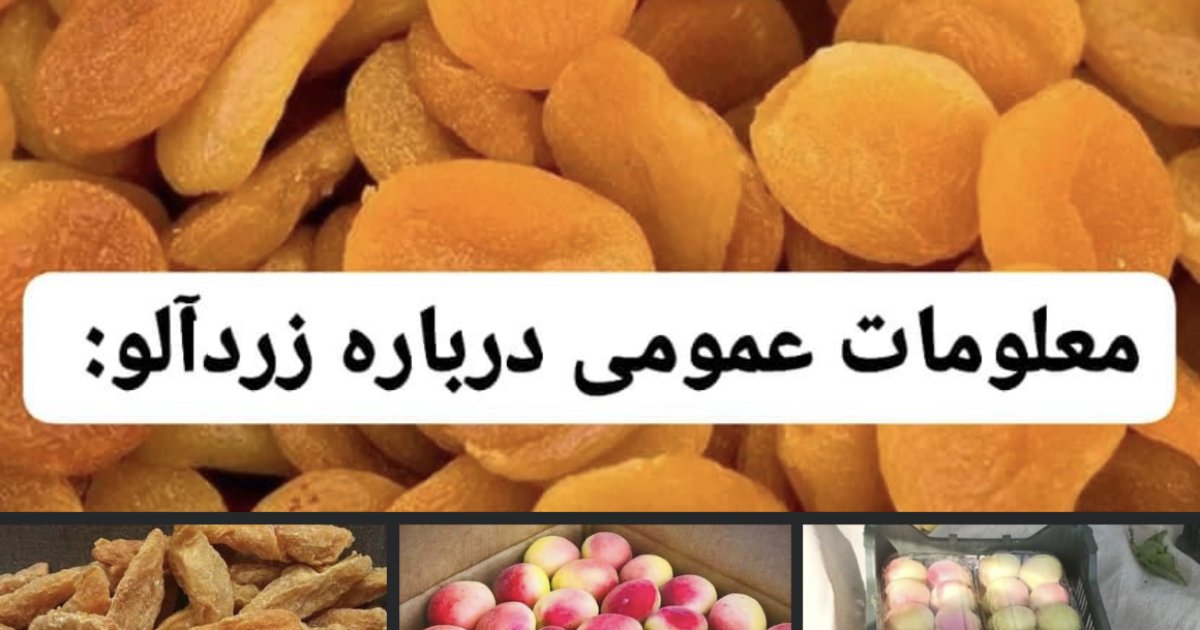 زردالو و خشک کردن -کشته