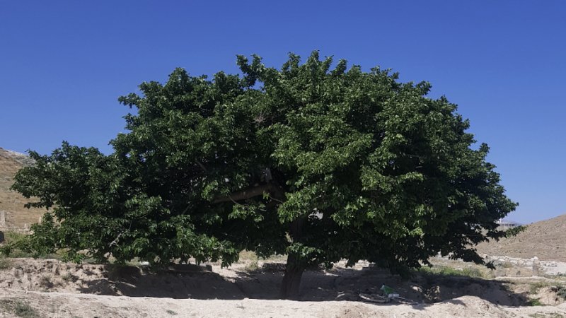 په هیواد کې د ډبرو سکرو  په مرسته د بريښنا  تولیدول – یوازینۍ لار ده  او که نور ګټور بدیلونه هم شنه؟