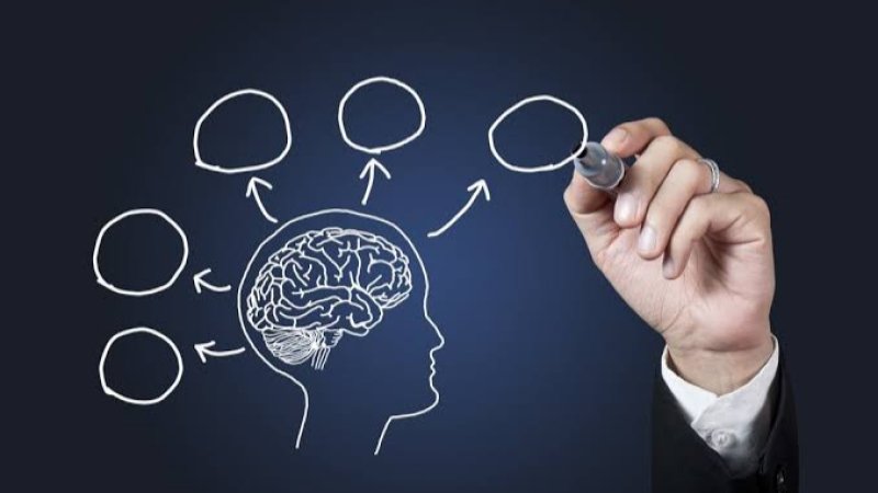 کوم خواړه مو حافظه پياوړې کوي؟