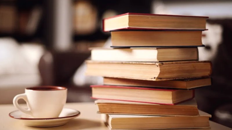 د ناول لنډه پېژندنه