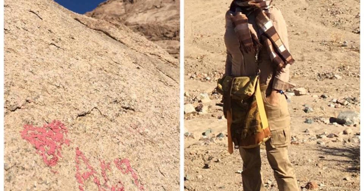 راجع به نامه ی زرغونه منگل