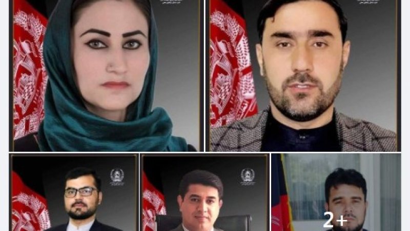 ناظران وابسته