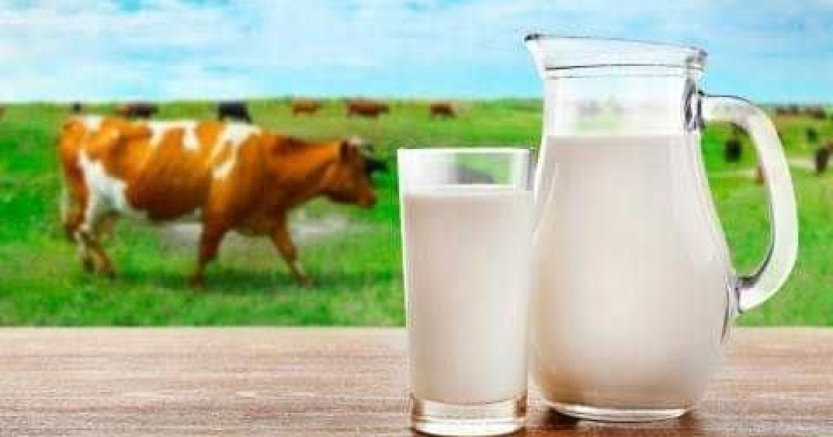 د غوا خامې شيدې کوم ميکروبونه لري؟