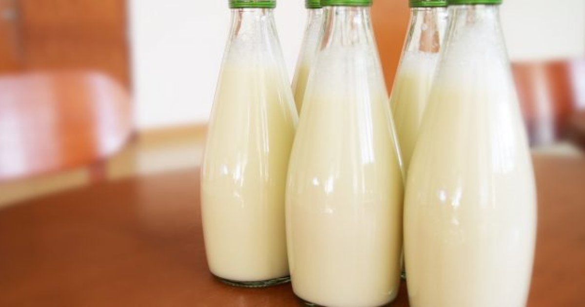 د شودو په اړه هغه څه چې باید پرې پوه شئ