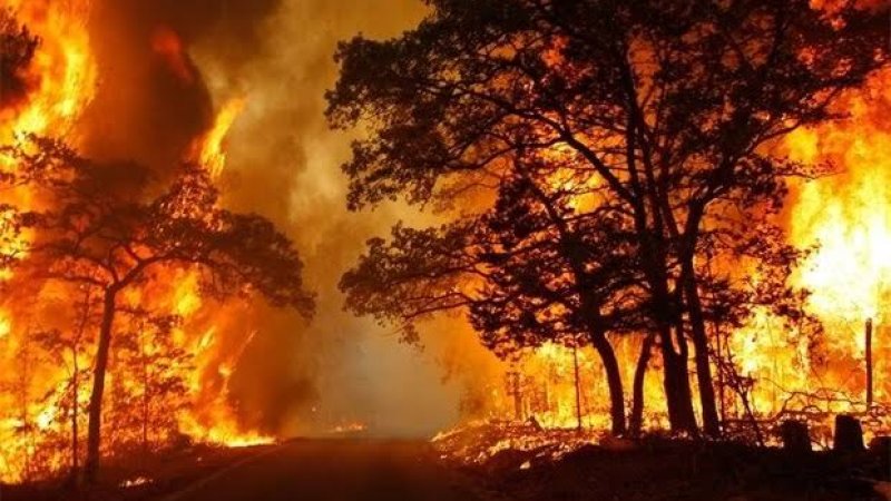 اورلګېدنه ولې رامنځته کېږي؟