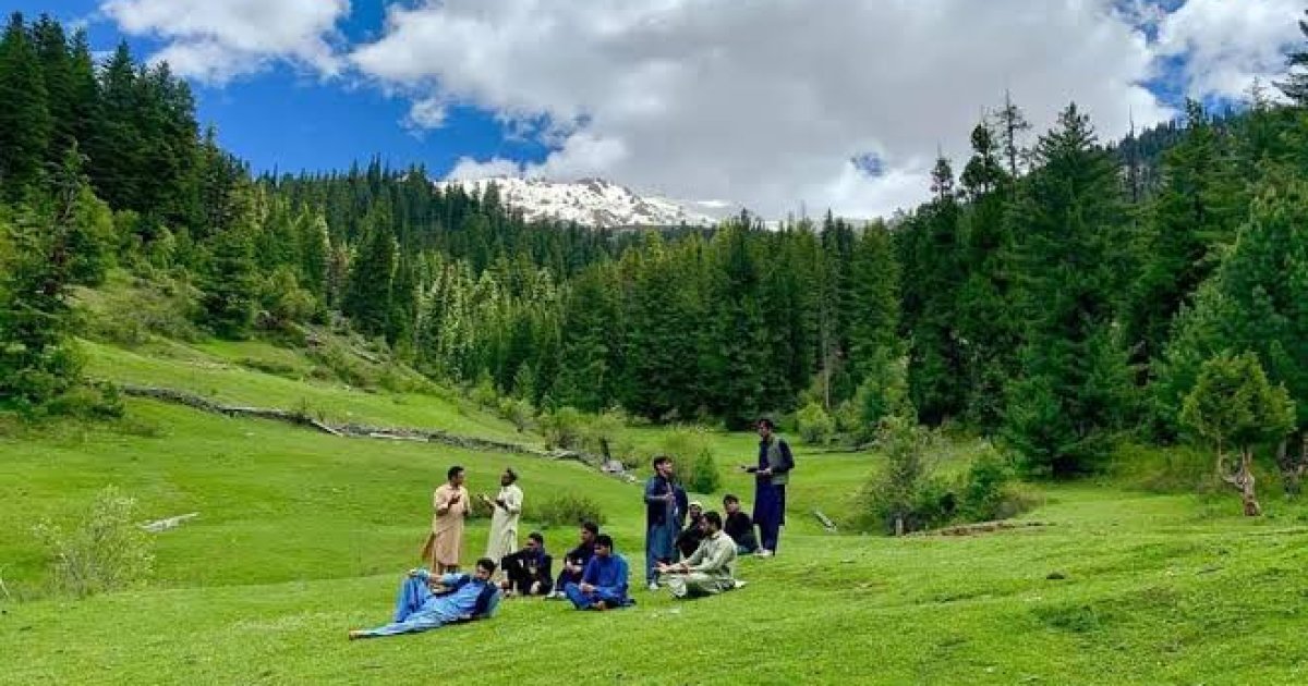 د وطن ښکلاوې