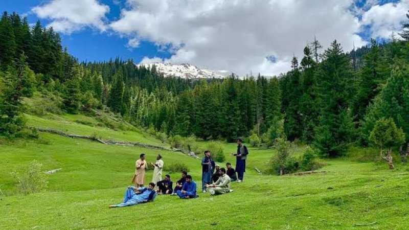 د وطن ښکلاوې