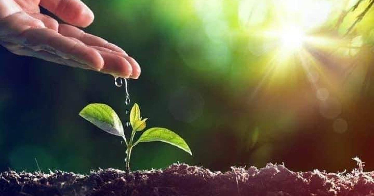 ارزښتمن شیان هیڅ وخت مفت په لاس نه راځي