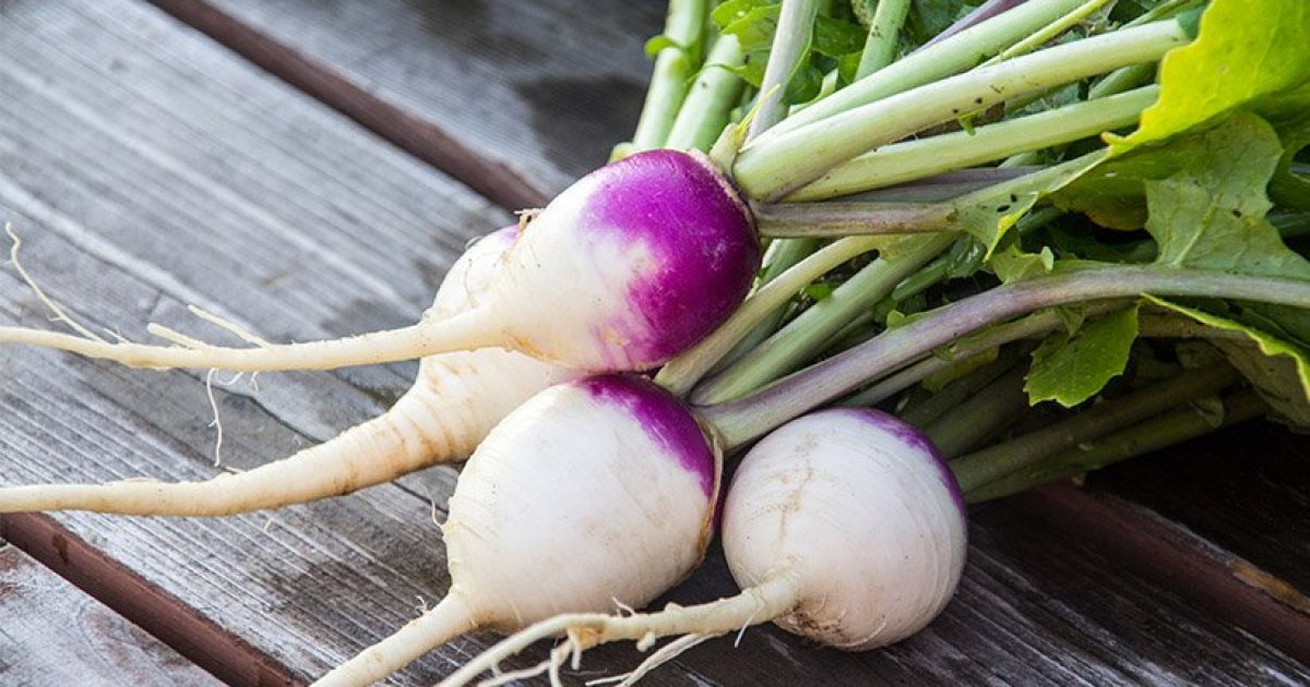 د ټېپرو (شلغم) روغتيايي ګټې