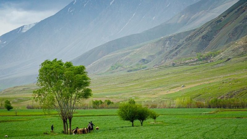 د هڅوونکي سهار پیل