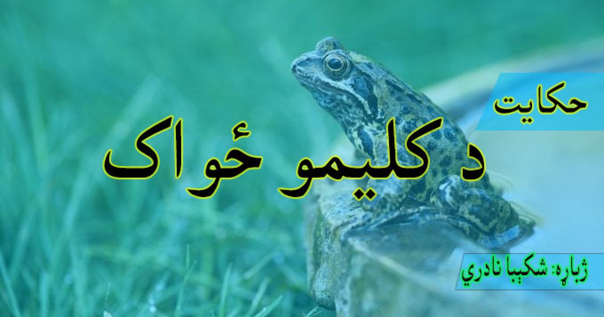 حکایت: د کلیمو ځواک