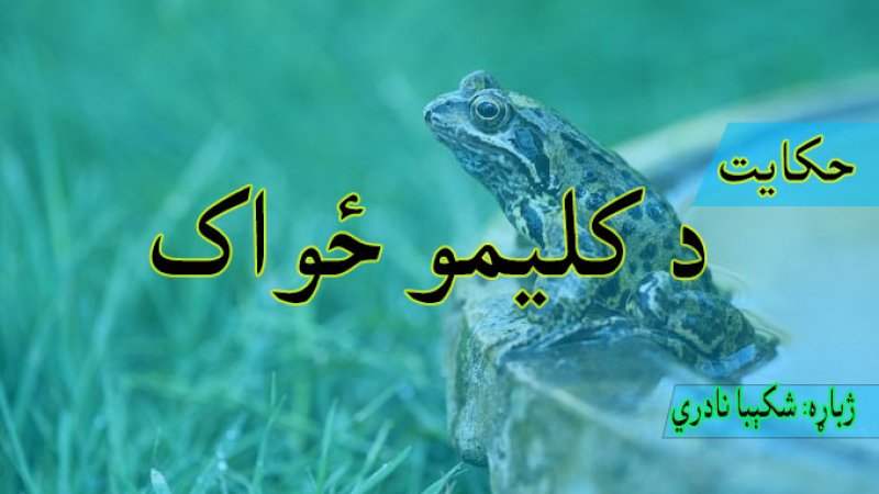 حکایت: د کلیمو ځواک