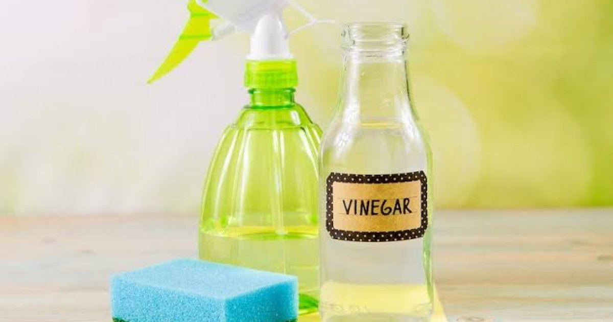 ایا پوهېږﺉ سرکه د کومو شیانو د خرابېدو لامل کېږي؟