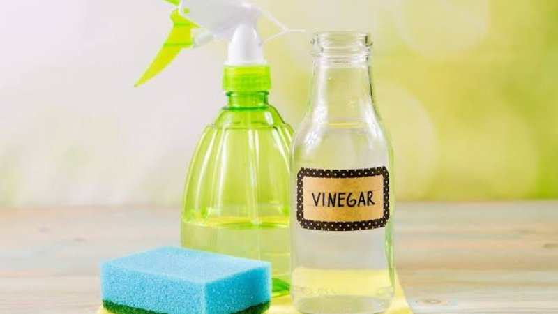 ایا پوهېږﺉ سرکه د کومو شیانو د خرابېدو لامل کېږي؟