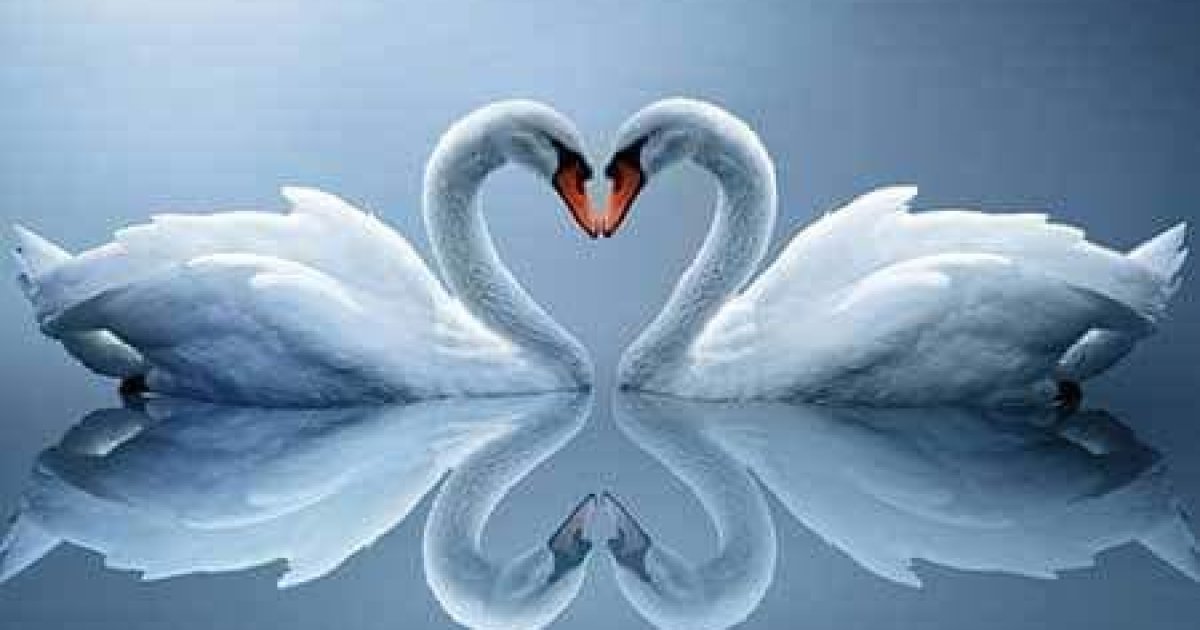 د پرمختګ راز