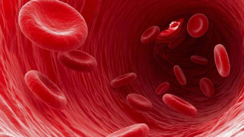 دوینې سرې حجرې