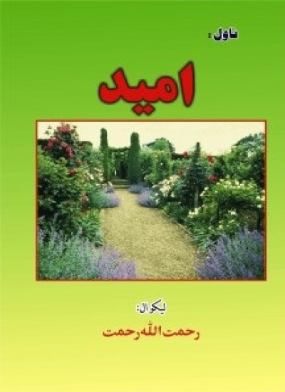 اميد (ناول)