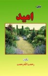 اميد (ناول) cover image