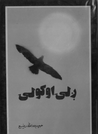 ږلې اوګولی