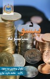 د پیسو سیاستونه cover image