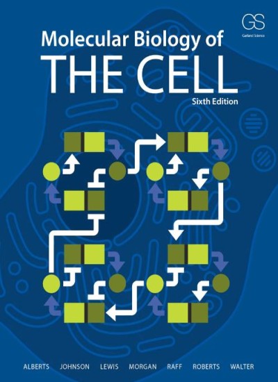 The Cell