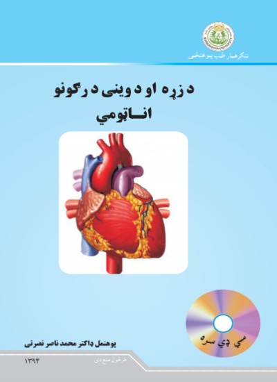 د زړه او د وینی د رګونو اناټومي