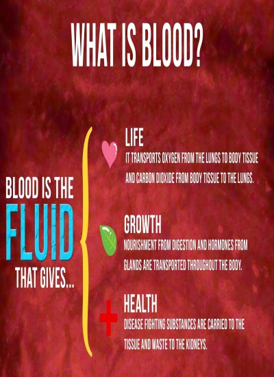 Blood Transfusion patient handbook 1st Edition