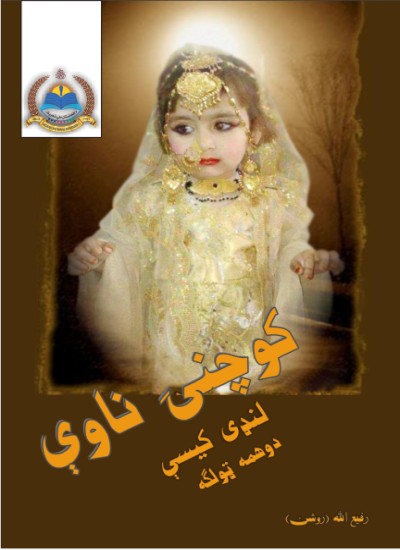 کوچنۍ ناوې