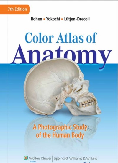 color Atlas of anatomy