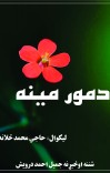 دمورمینه cover image