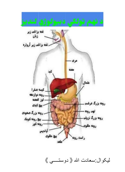 دنهم ټولګي دبیولوژي لنډیز