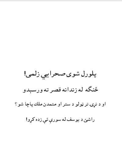 پلورل شوی صحرایی زلمی تر پاچایه