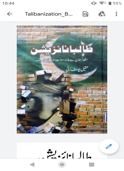 طالبانايزېشن Talibnization