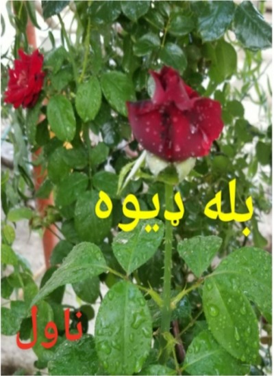بله ډيوه