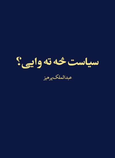 سیاست څه ته وایی؟