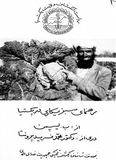 رهنمای سبزی کاری در پکتیا