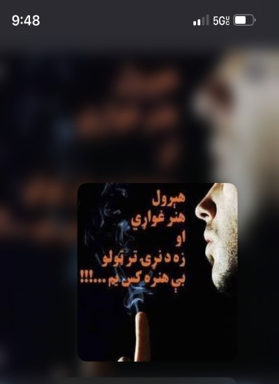  ژوند رزونه