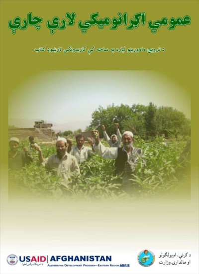 عمومي اګرانومیکي لارې