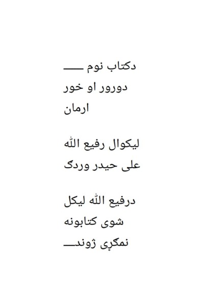 د ورور او خور آرمان ناول